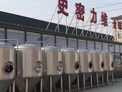 贞丰精酿啤酒设备厂—如何判断精酿啤酒设备的密封件需要更换？